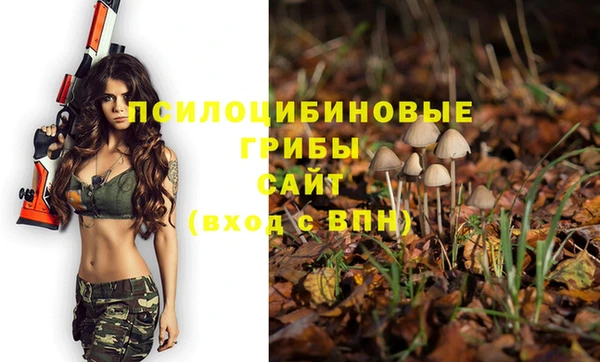 винт Нягань